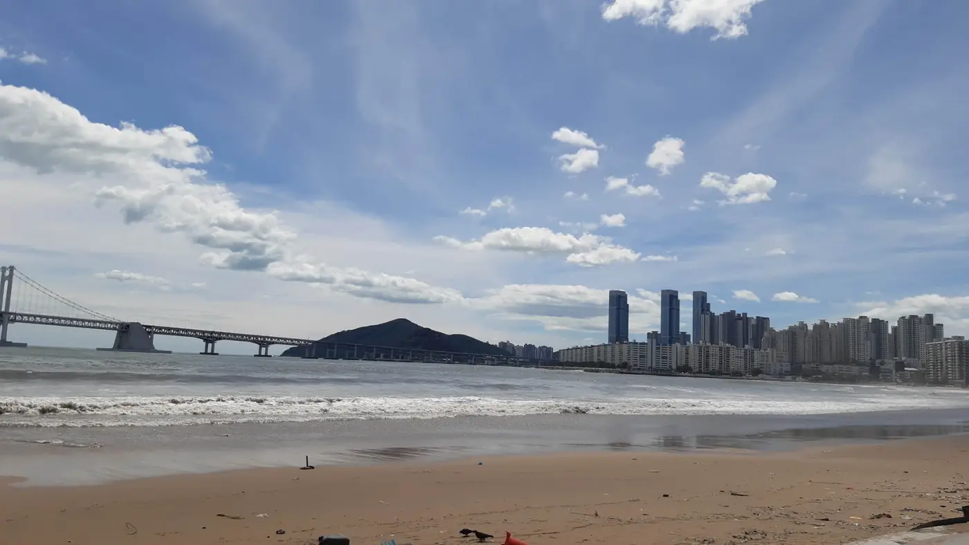 부산 해안과 광안대교가 보이는 전경